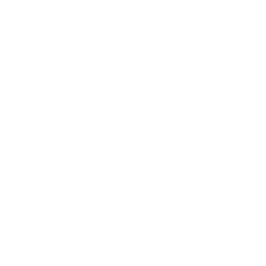 DP N°013 077 25 00161 LAURENT BELSOLA